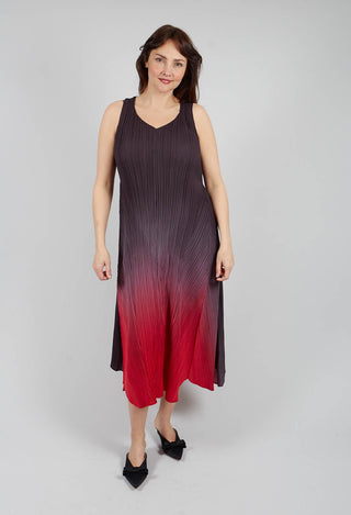 Estrella Dress in Cherry Ombre