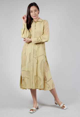 Foliage Chemisier Dress in Pampas