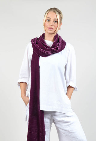 Gypsy Plain Scarf in Lavender