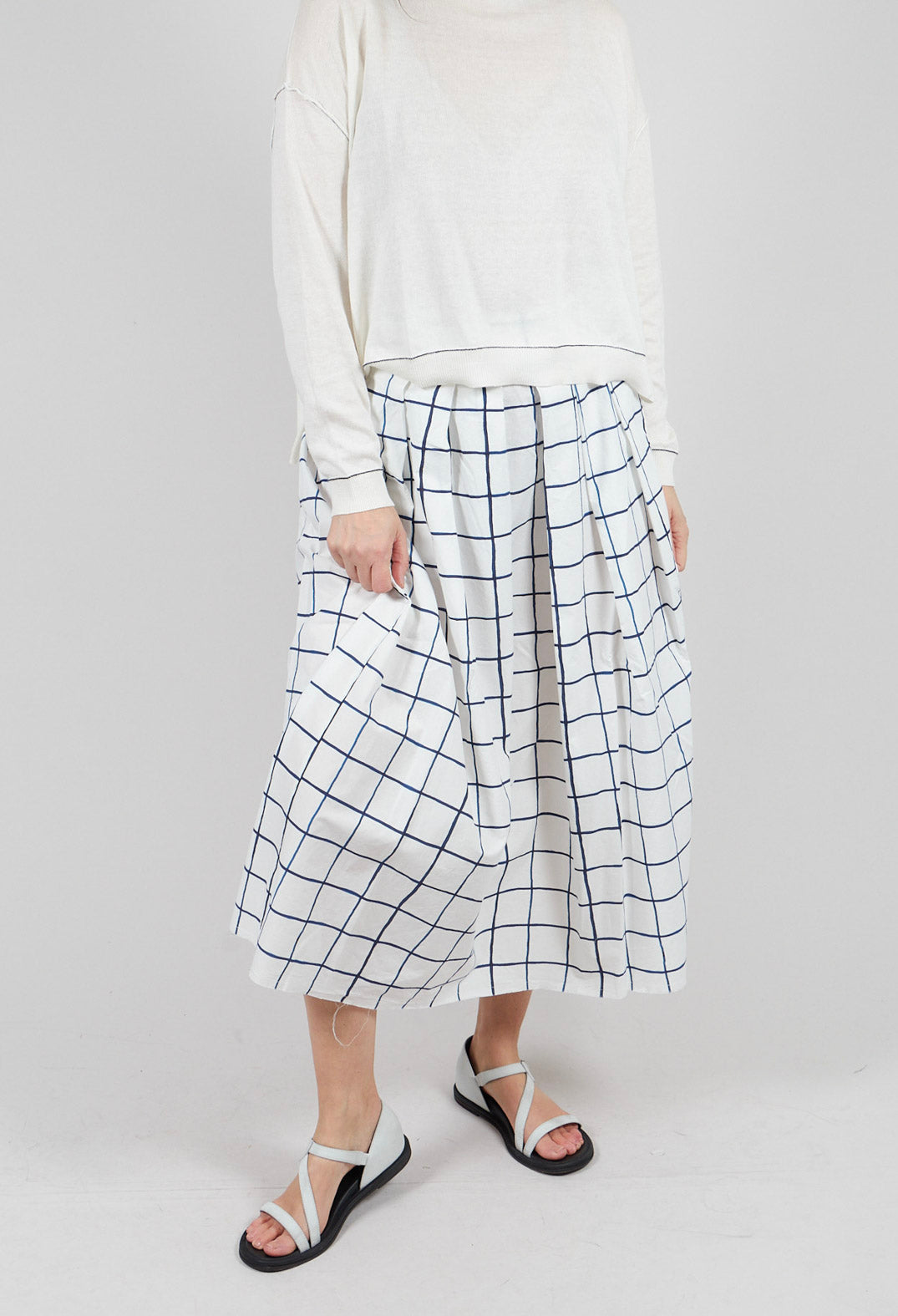 Jolisa Printed Skirt in Blue Check