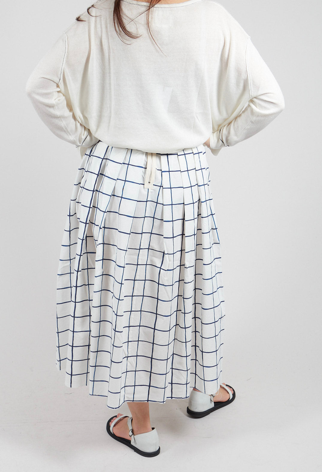 Jolisa Printed Skirt in Blue Check