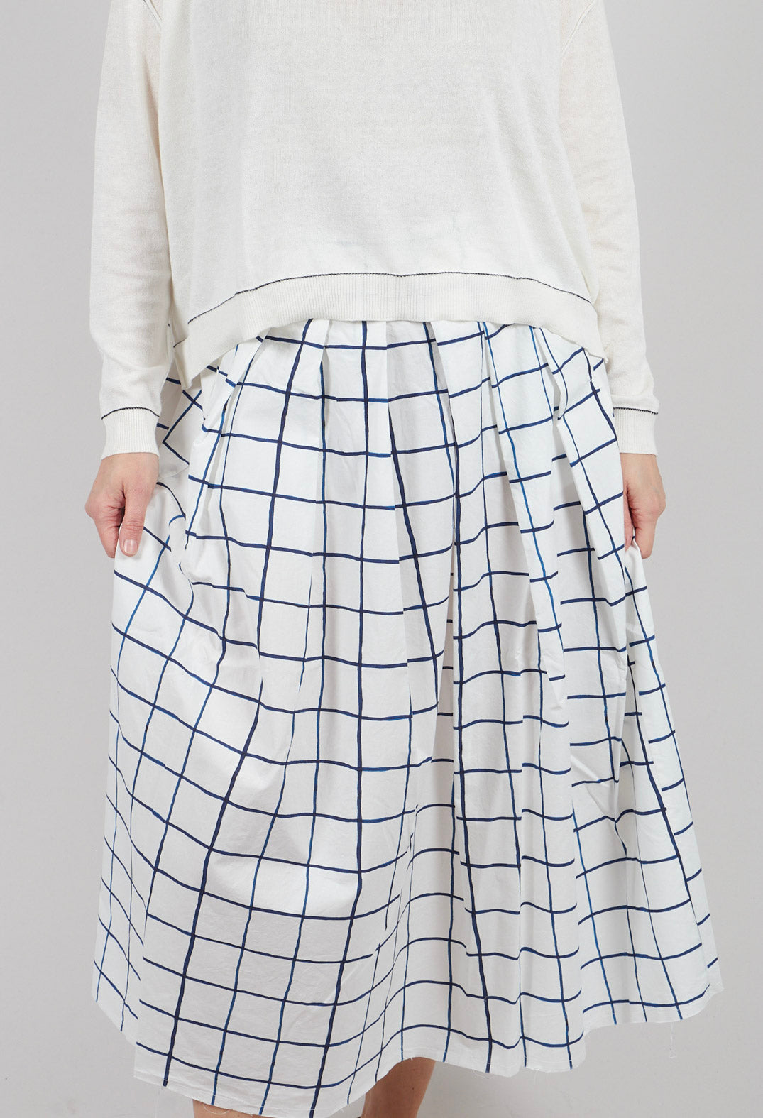 Jolisa Printed Skirt in Blue Check