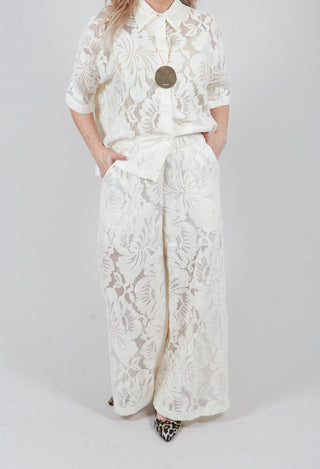 Lace Trouser in Latte