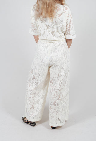 Lace Trouser in Latte