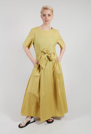 Long Belted Dress in Golden