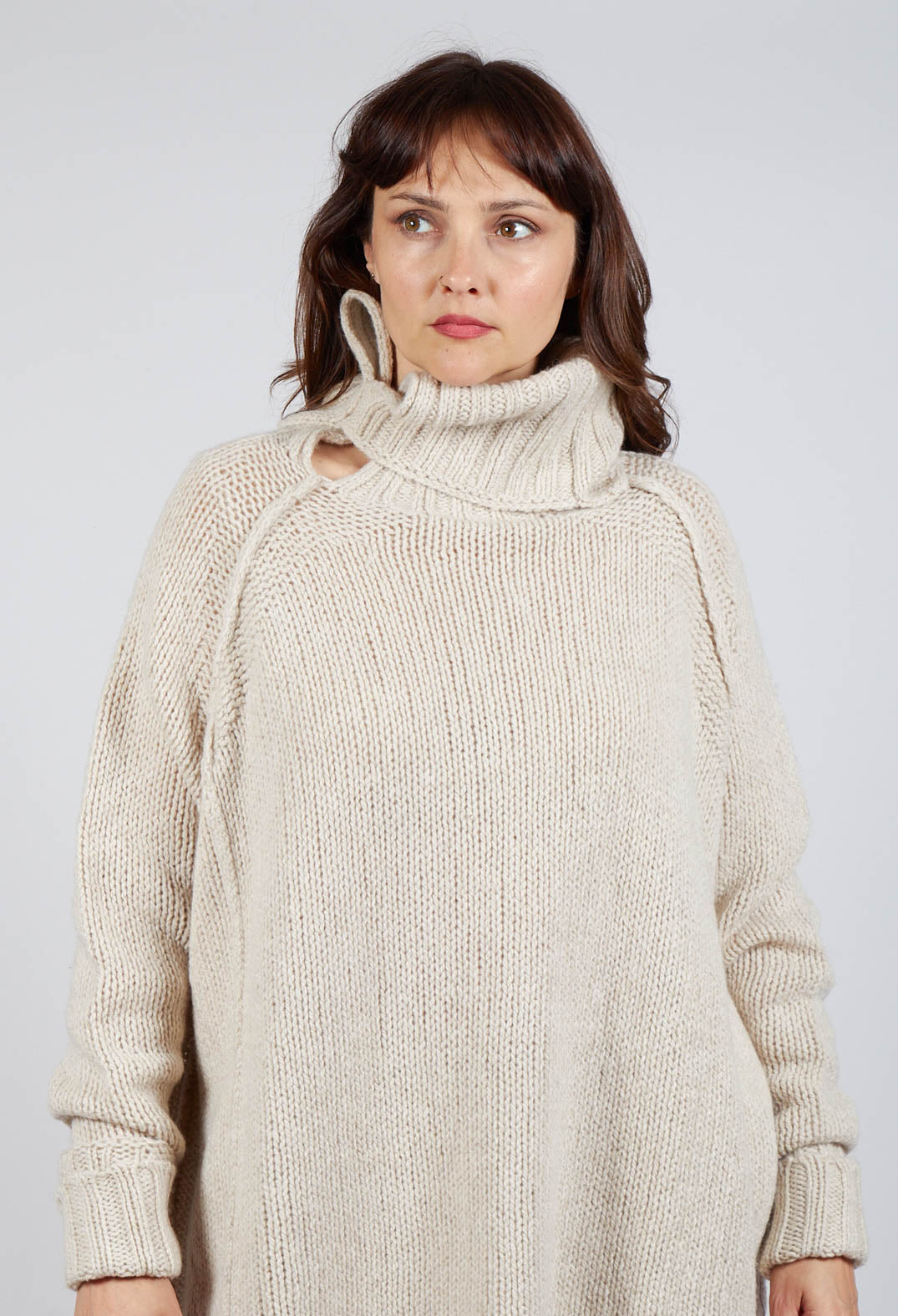 Long Relaxed Roll Neck Jumper in Bone Mel