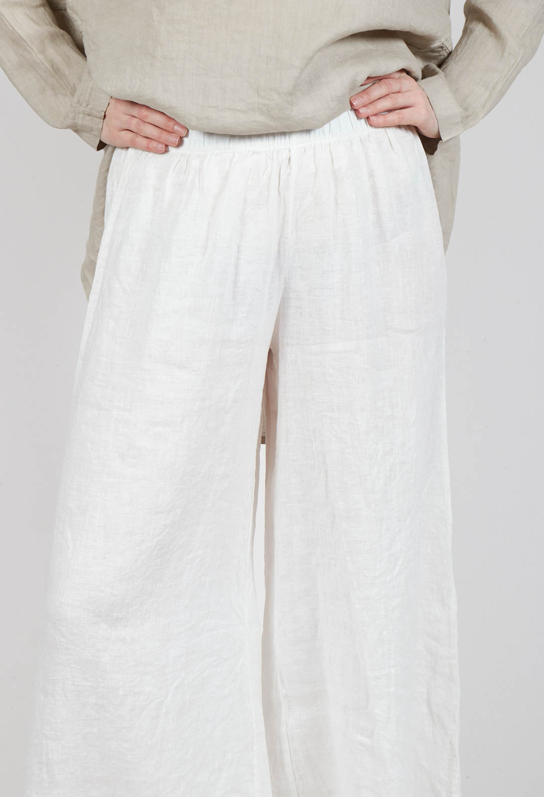 Pianeta L Trousers in Latte