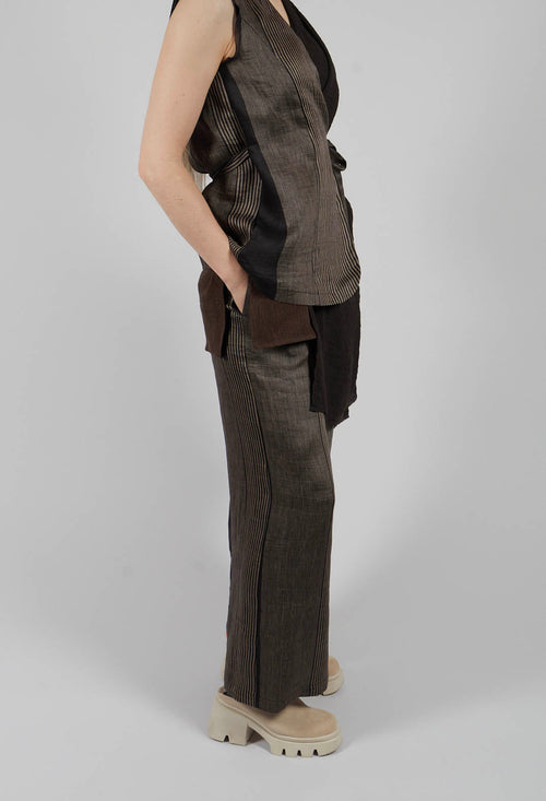 Pinces Trousers in Rigato