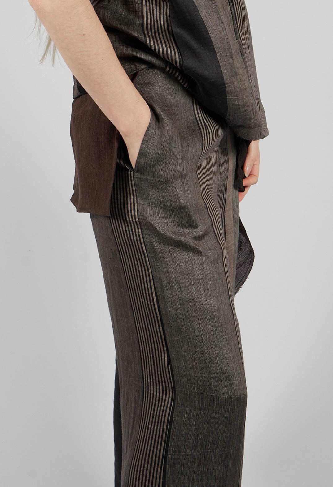 Pinces Trousers in Rigato