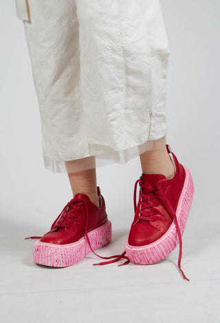 Platform Trainers in Rose