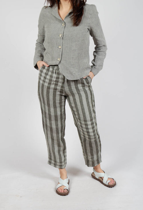 Preciso LQ Trousers in Alga