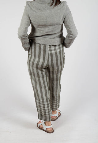 Preciso LQ Trousers in Alga