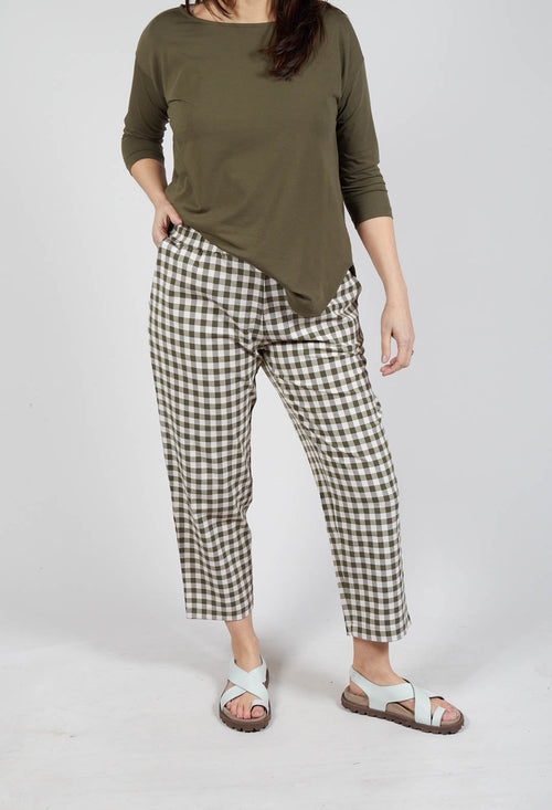 Preciso Q Trousers in Alga