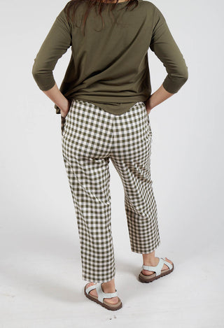 Preciso Q Trousers in Alga