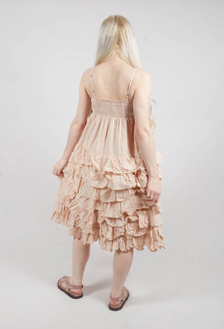 Sariete Dress in Blush