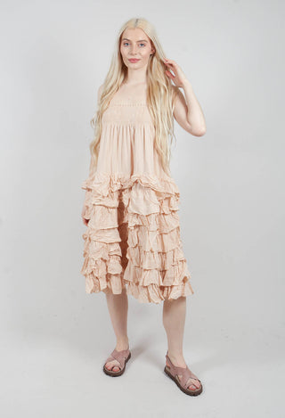 Sariete Dress in Blush