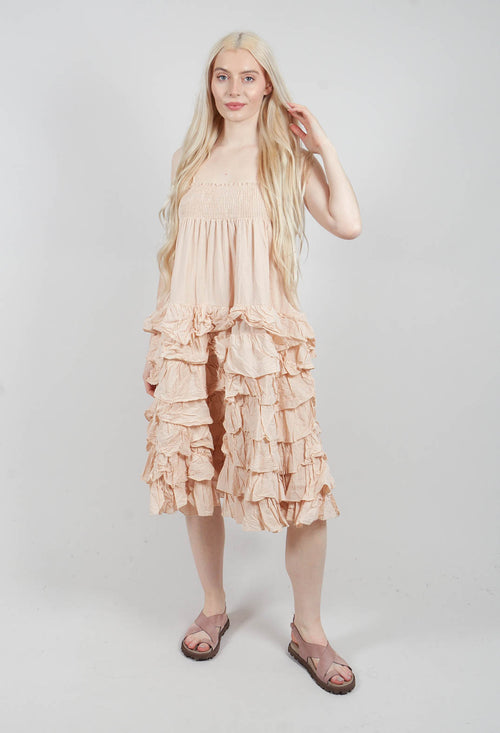Sariete Dress in Blush