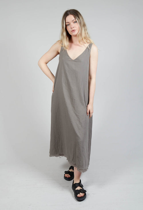 Designer Dresses For Women | Olivia May