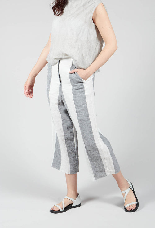 Tab Trouser In Vari