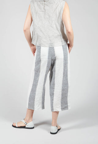 Tab Trouser In Vari