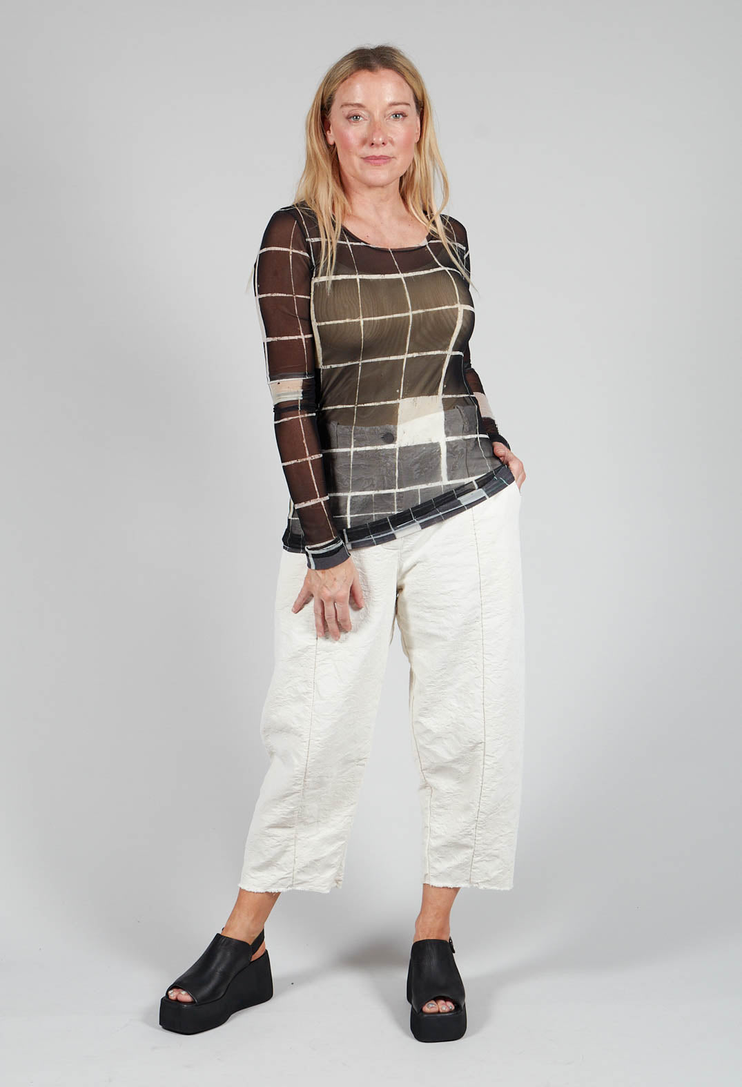 Sheer Mesh Long Sleeve Top in Single Variant