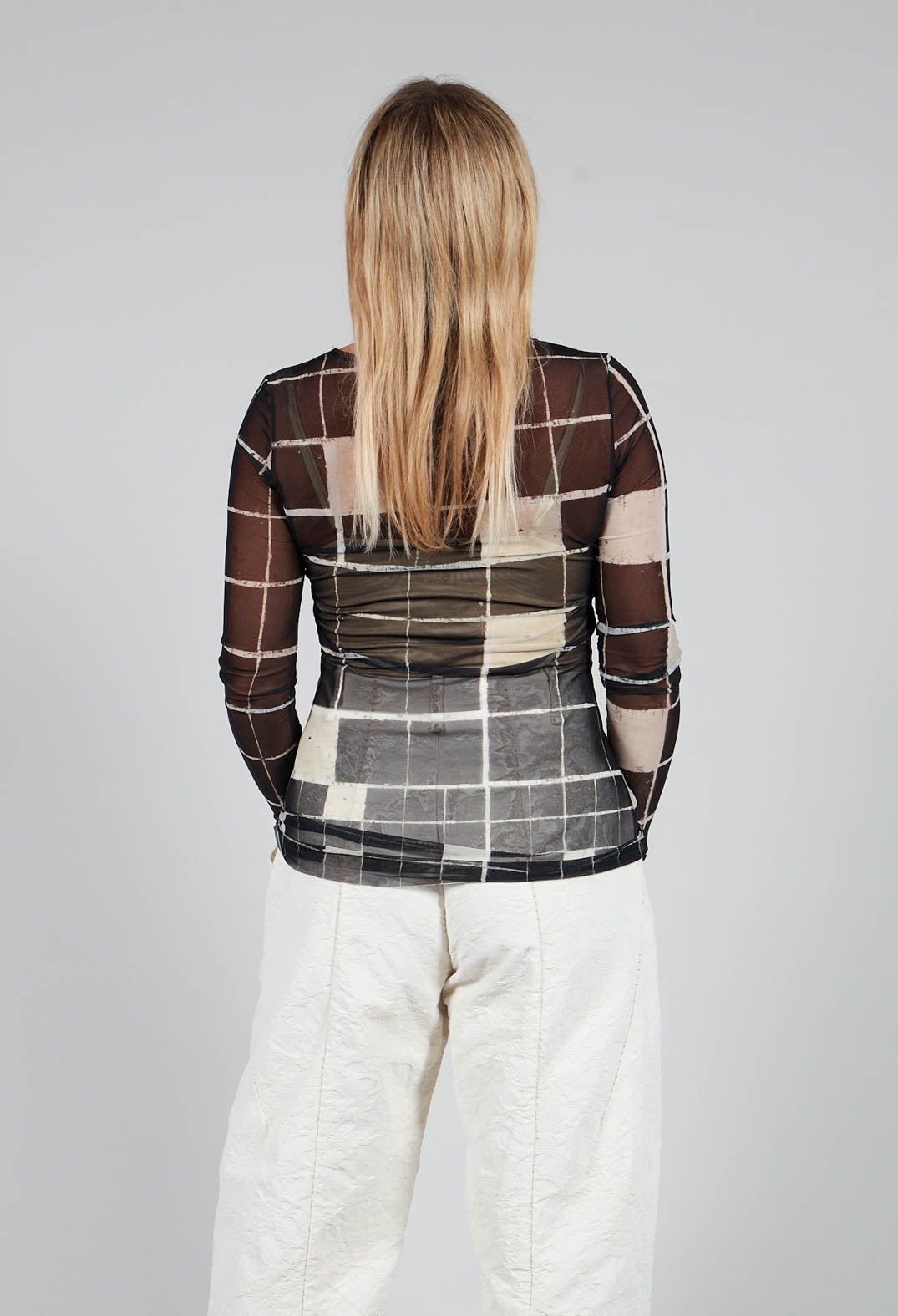 Sheer Mesh Long Sleeve Top in Single Variant