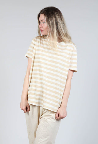 Short Sleeve T-Shirt in Honey