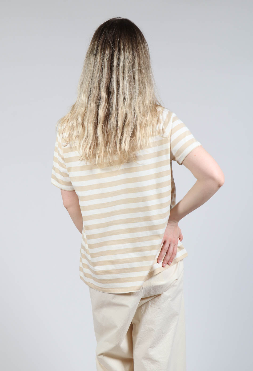 Short Sleeve T-Shirt in Honey