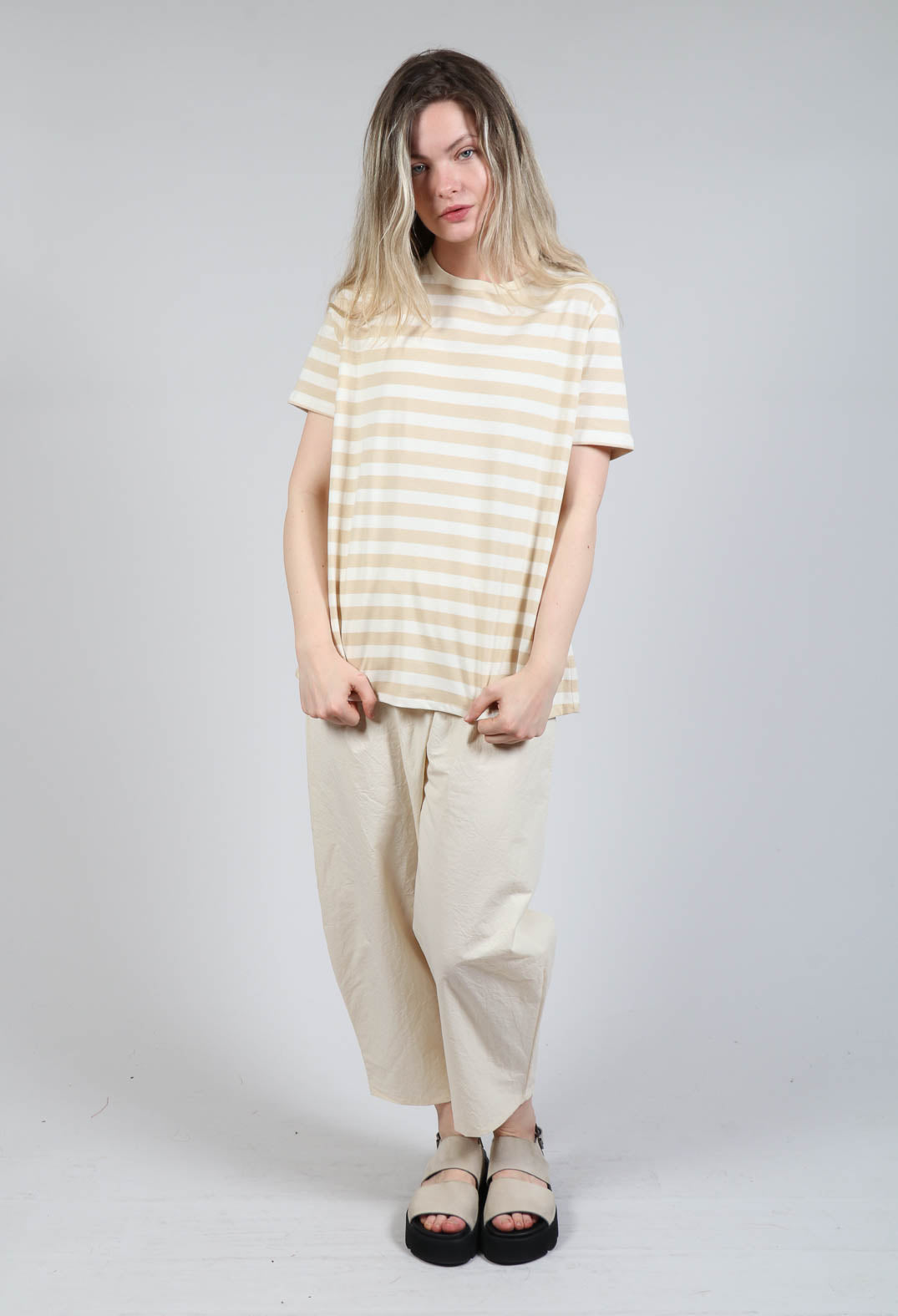 Short Sleeve T-Shirt in Honey
