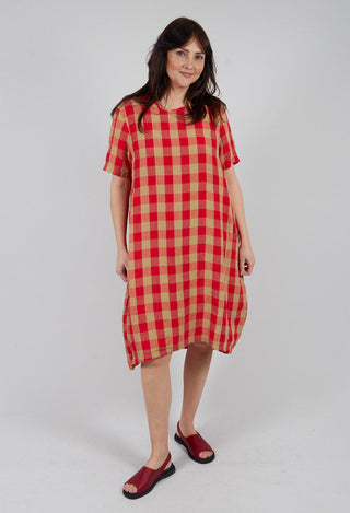 Short Sleeved Linen Dress in Check