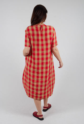 Short Sleeved Linen Dress in Check