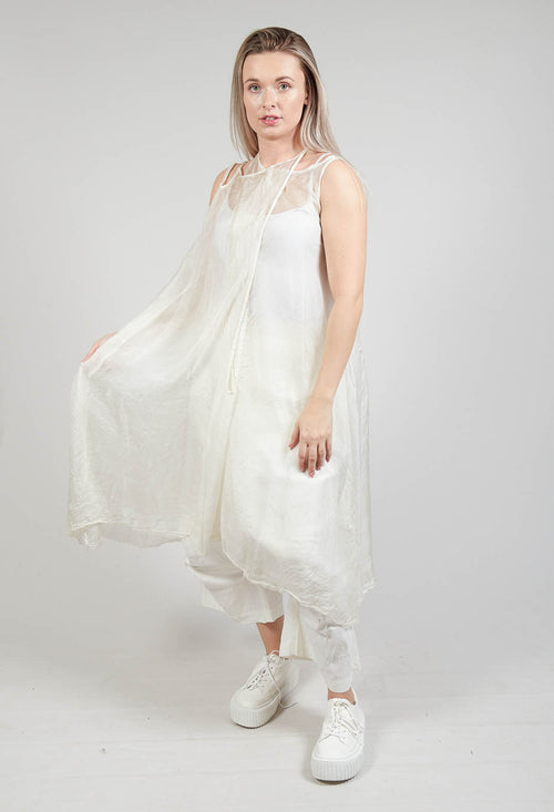 Silk Overdress in Straw Cloud