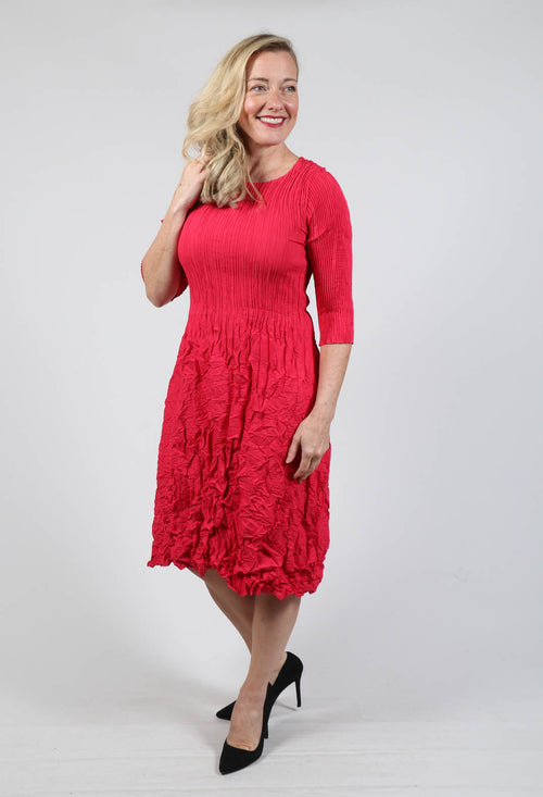 Smash Dress with Three Quarter Length Sleeve in Raspberry