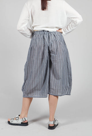 Stripe Cropped Trousers in Grey