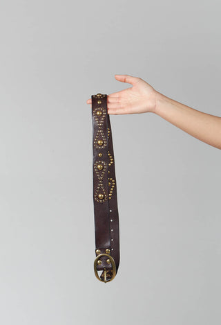 Studded Belt in Brown