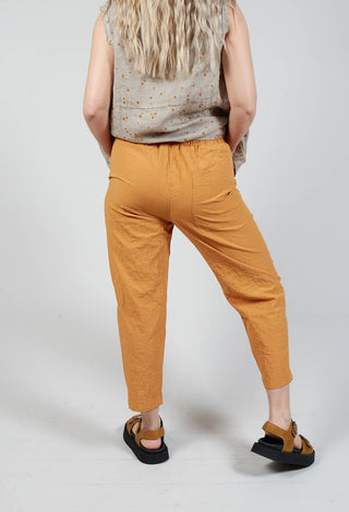 Terra Q Trousers In Ambra