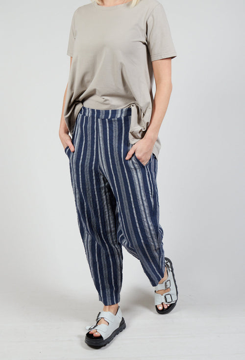 Terra S Trousers In Blu Stripe