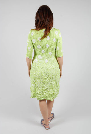 Three Quarter Sleeve Smash Dress in Lime Geo Clover
