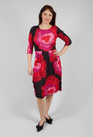 Three Quarter Sleeve Smash Dress in Pink Roses