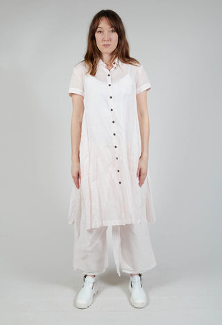 Transparent Shirt Dress in Rose 10% Stiff