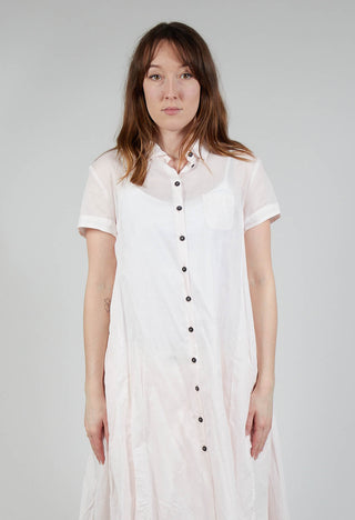 Transparent Shirt Dress in Rose 10% Stiff