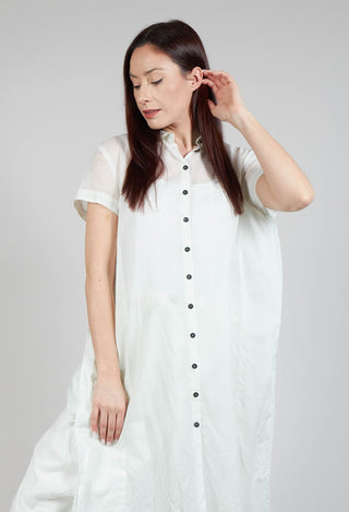 Transparent Shirt Dress in Tulip 10% Stiff