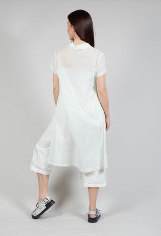 Transparent Shirt Dress in Tulip 10% Stiff