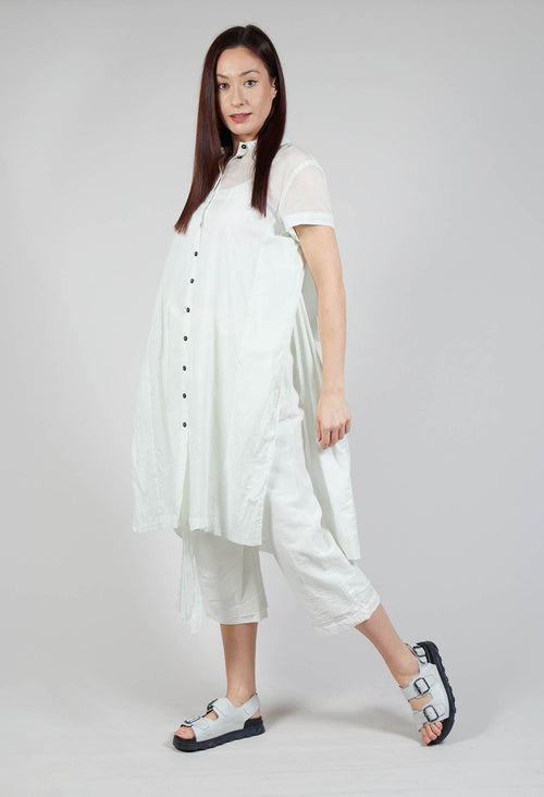 Transparent Shirt Dress in Tulip 10% Stiff