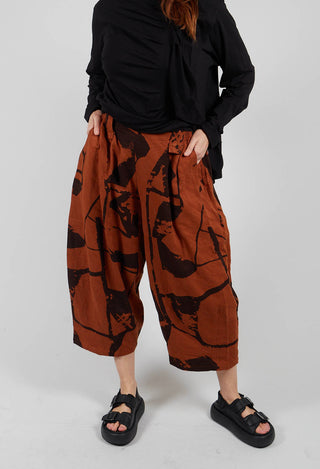 Trousers in Brown Print