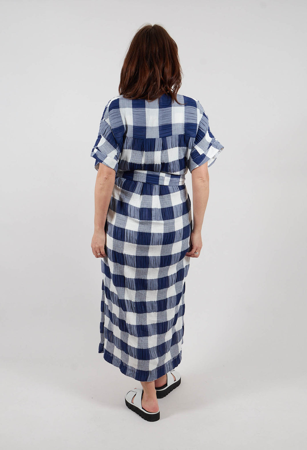 Crinkle Dress In Blue and White Check