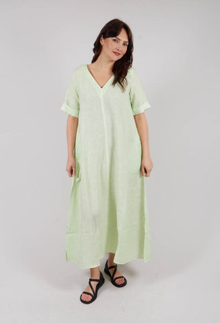 Zaris Dress in Spring Green