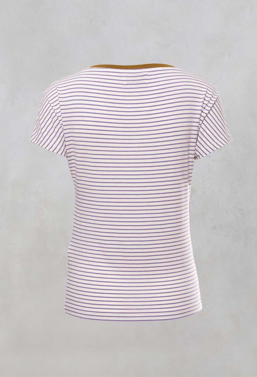 Striped T Shirt with Contrast Neckline in Lilla