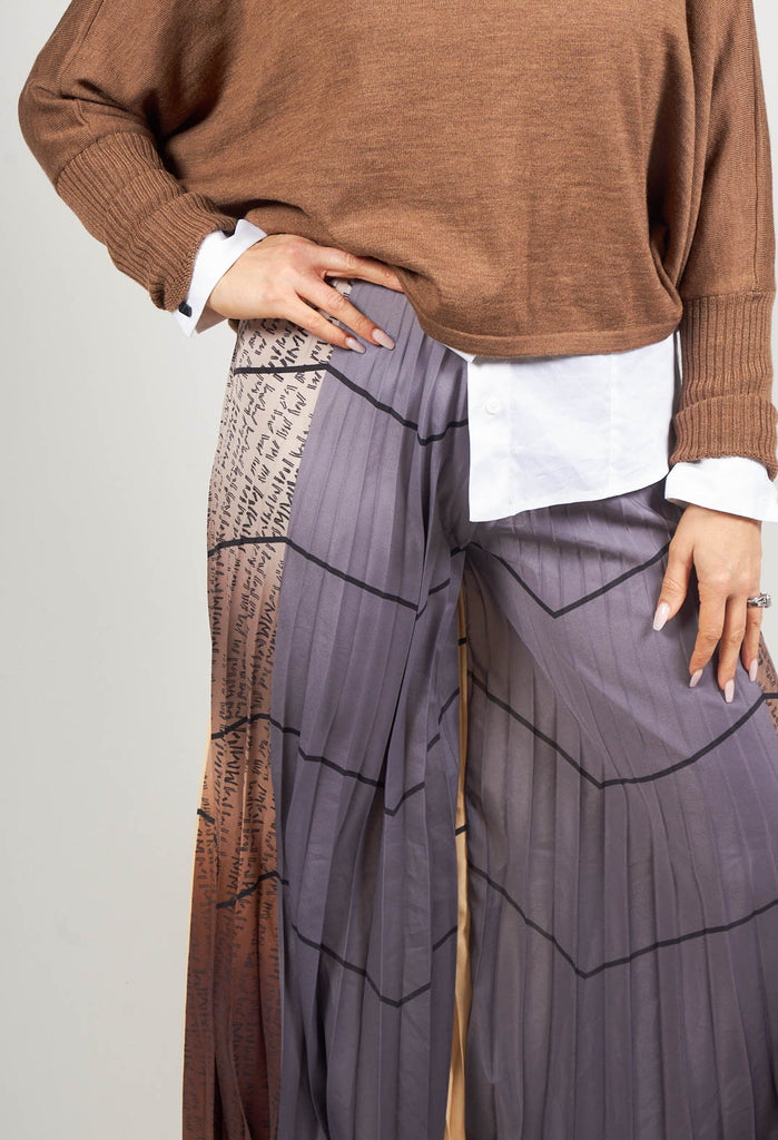 Pleated Trousers in Multicolor