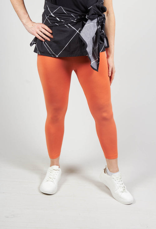 Leggings in Orange